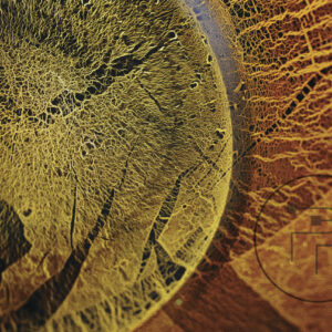 Alcyone
