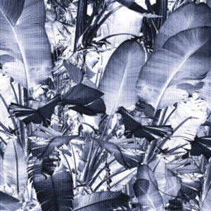 Tropica-I