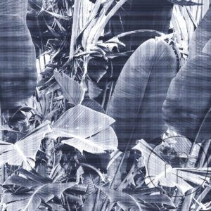 Tropica-II