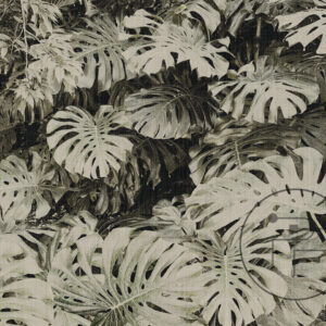 Monstera-I