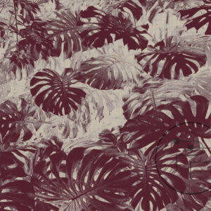 Monstera-II