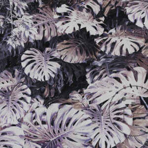 Monstera-III