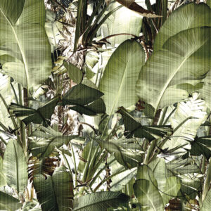 Tropica-V