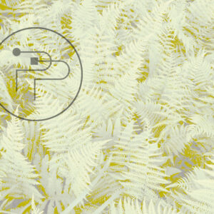 Felce-II